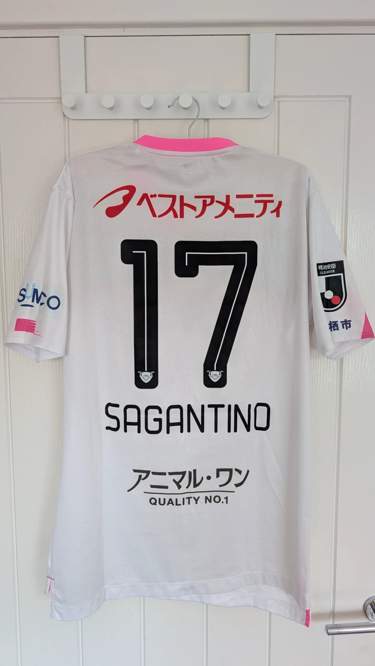Sagan Tosu - 2024-2024